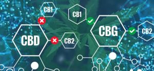 CBD y CBG