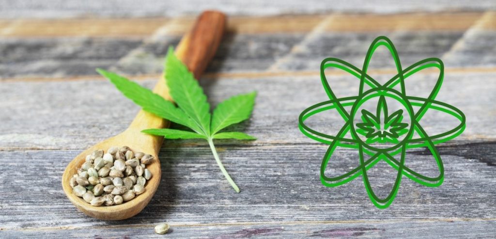 el efecto sequito en semillas de cannabis