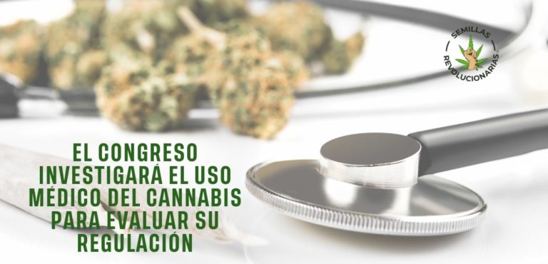 El congreso de los diputados aprueba por mayoría constituir la subcomisión para el estudio de Cannabis Medicinal web